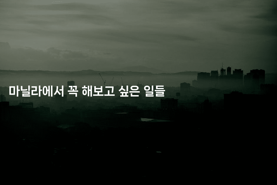 마닐라에서 꼭 해보고 싶은 일들2-피리피니