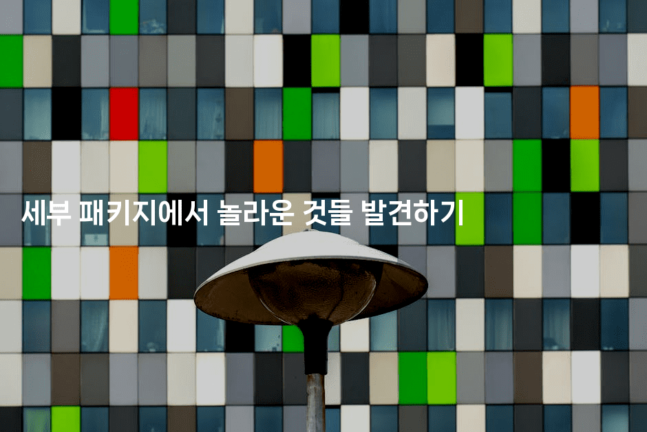 세부 패키지에서 놀라운 것들 발견하기 2-피리피니