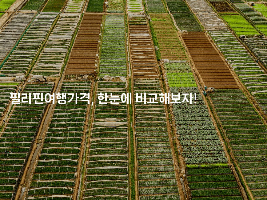 필리핀여행가격, 한눈에 비교해보자!-피리피니