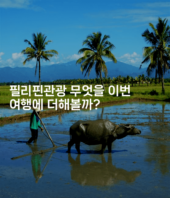 필리핀관광 무엇을 이번 여행에 더해볼까?2-피리피니