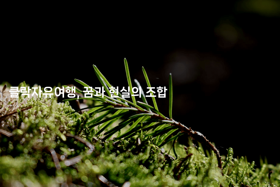 클락자유여행, 꿈과 현실의 조합2-피리피니