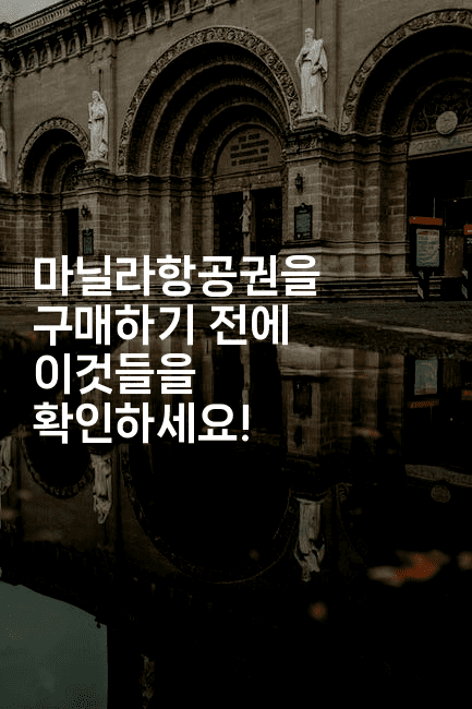 마닐라항공권을 구매하기 전에 이것들을 확인하세요!2-피리피니