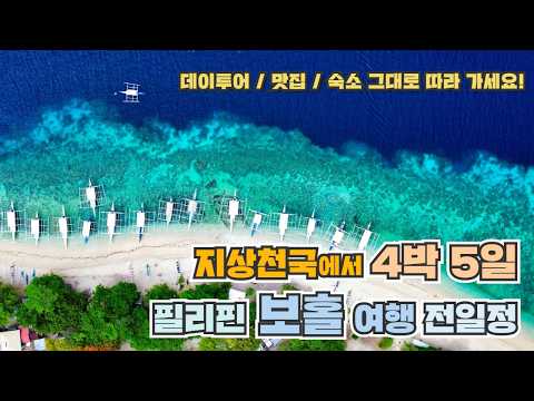 지상천국의 모습을 가진 필리핀 보홀 4박5일 자유여행! 그대로 따라하면 성공합니다. 보홀맛집 보홀숙소 보홀투어까지 모두 다 담았어요!