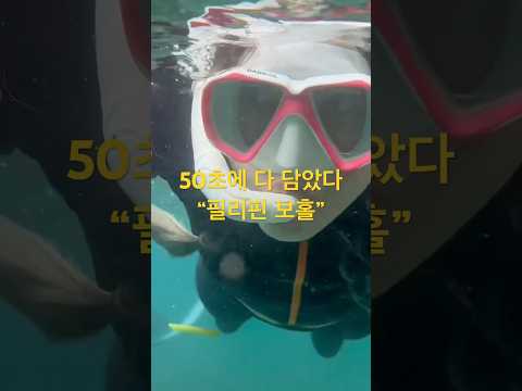 필리핀 보홀 50초 정리 끝!!!! #필리핀 #보홀여행