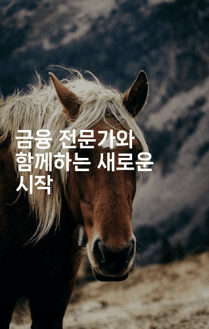 금융 전문가와 함께하는 새로운 시작-피리피니