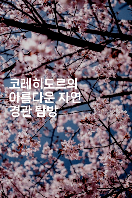 코레히도르의 아름다운 자연 경관 탐방