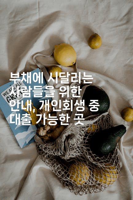 부채에 시달리는 사람들을 위한 안내, 개인회생 중 대출 가능한 곳-피리피니