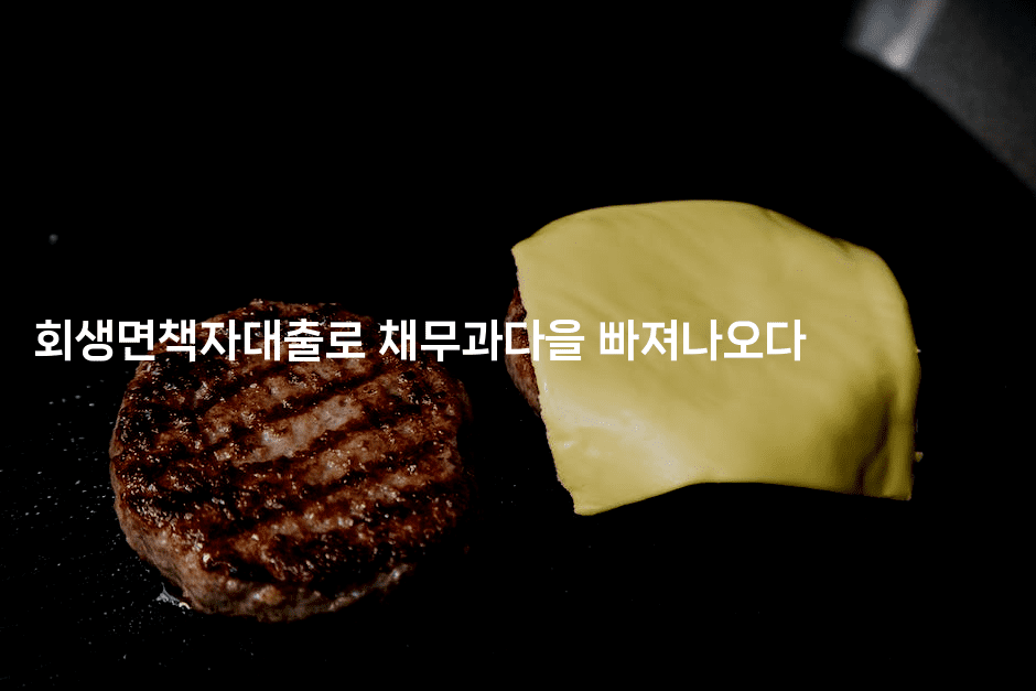 회생면책자대출로 채무과다을 빠져나오다-피리피니