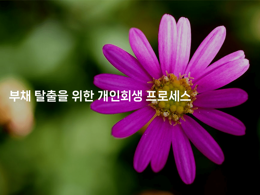 부채 탈출을 위한 개인회생 프로세스-피리피니