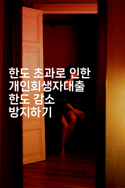 한도 초과로 인한 개인회생자대출 한도 감소 방지하기-피리피니