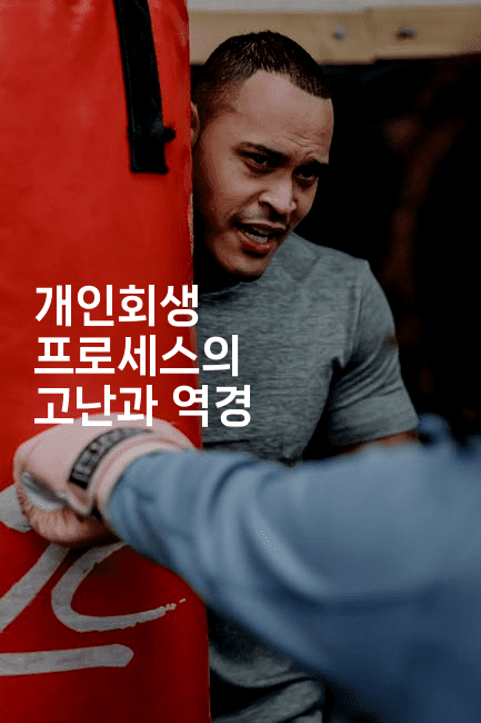 개인회생 프로세스의 고난과 역경-피리피니