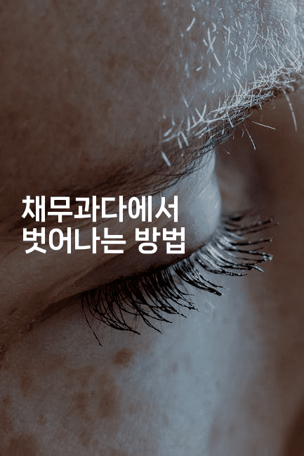 채무과다에서 벗어나는 방법-피리피니