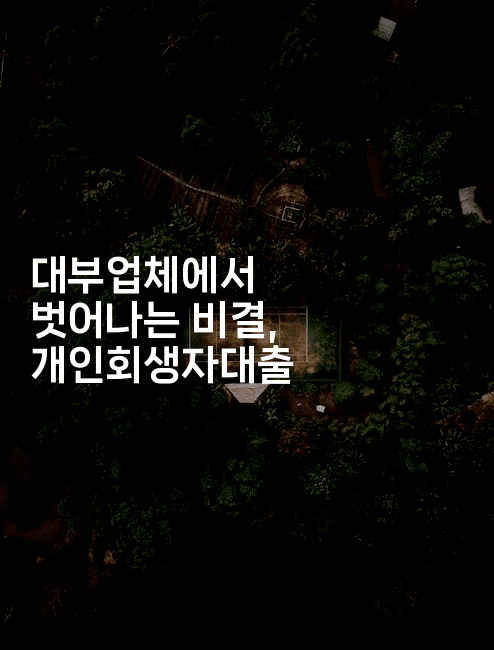 대부업체에서 벗어나는 비결, 개인회생자대출-피리피니