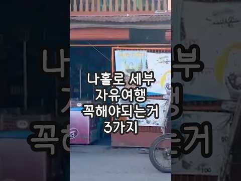 나홀로 필리핀 세부 모알보알 자유여행 꼭해야하는 3가지