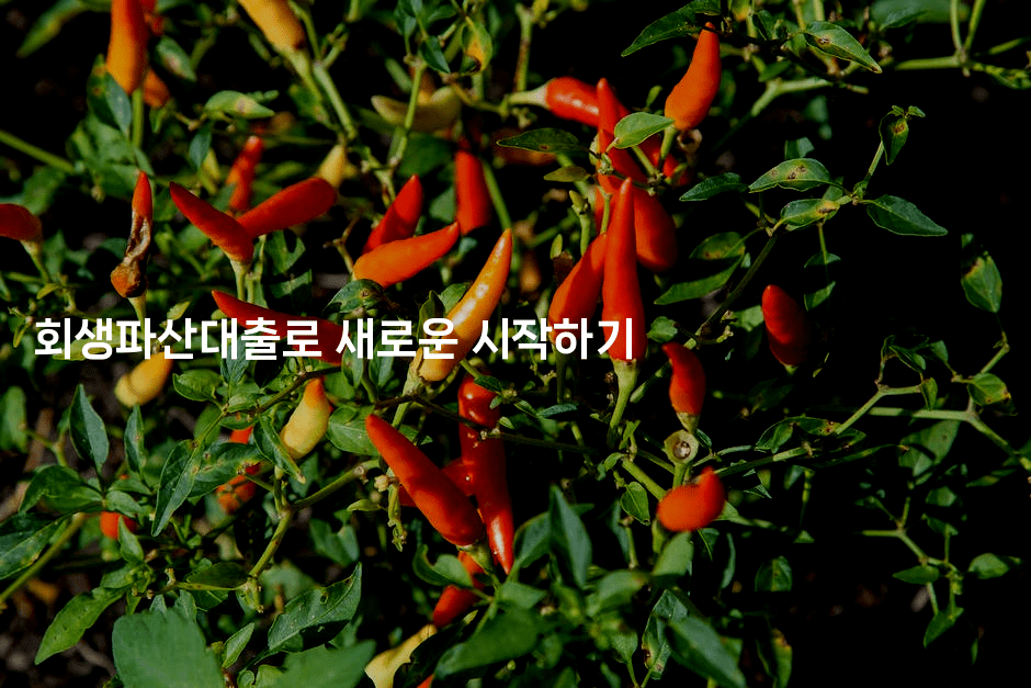 회생파산대출로 새로운 시작하기-피리피니