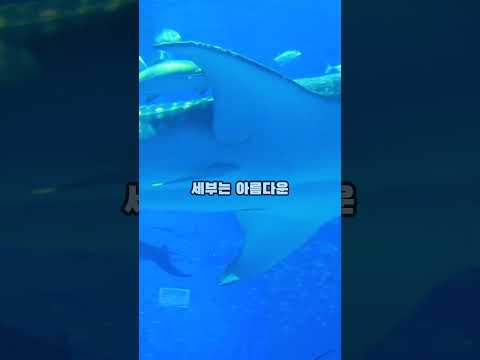 세계에서 가장 유명한 필리핀 관광지 Top 5