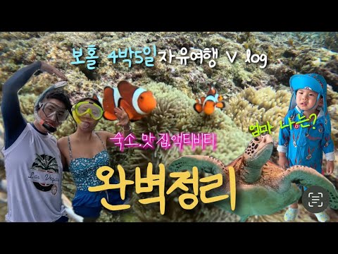 보홀여행vlog . 🇵🇭 12월 4박 5일 필리핀 보홀여행(1편) |  보홀 가성비 호텔&리조트, 보홀 호핑 거북이스노쿨링, 나팔링 정어리떼, 보홀 마사지, 보홀 현지맛집