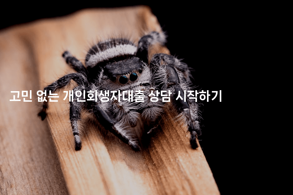 고민 없는 개인회생자대출 상담 시작하기-피리피니