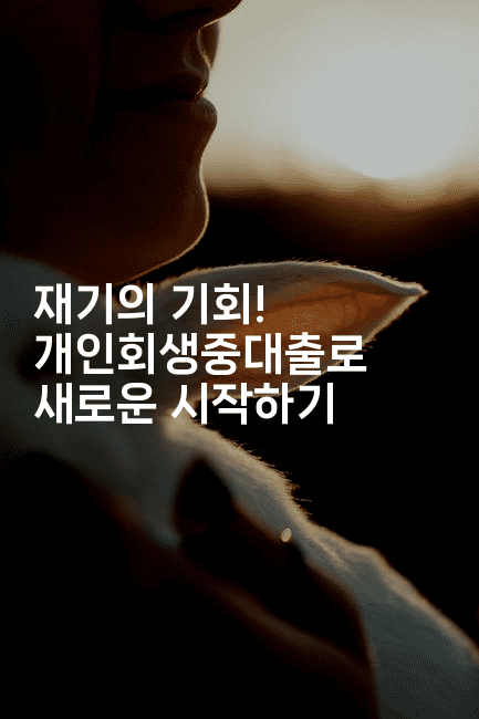 재기의 기회! 개인회생중대출로 새로운 시작하기-피리피니