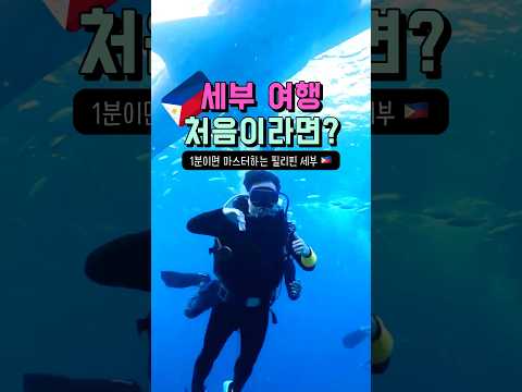 세부 여행 처음이라면? 1분만에 마스터하기 🇵🇭