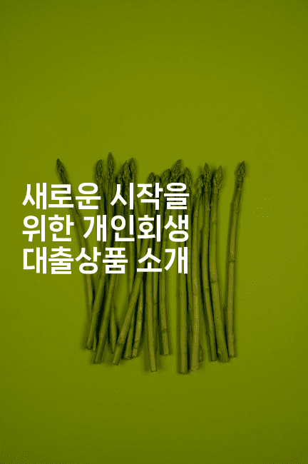 새로운 시작을 위한 개인회생 대출상품 소개-피리피니