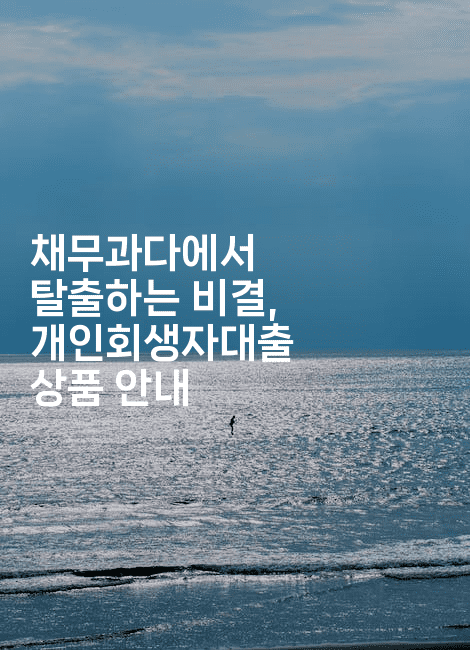 채무과다에서 탈출하는 비결, 개인회생자대출 상품 안내-피리피니